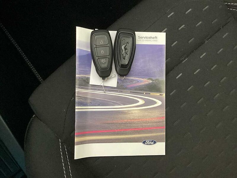 Ford Puma GEN E, Elektric Winterpaket