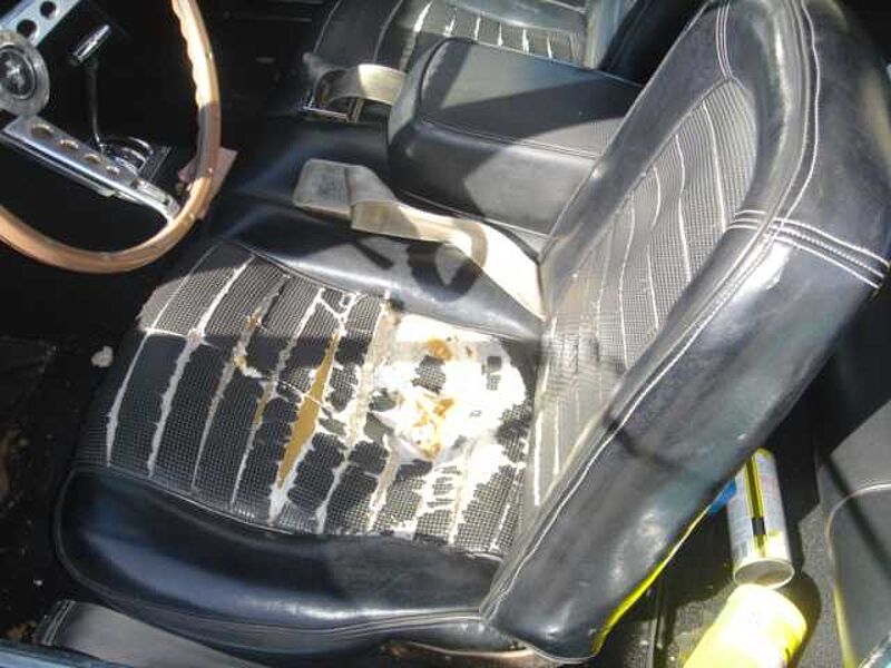 Ford Verkauft : Mustang 1966 Coupe Automatic 6 Zyl.