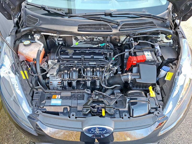 Ford Fiesta Trend 1. Hdn. 33 TKM