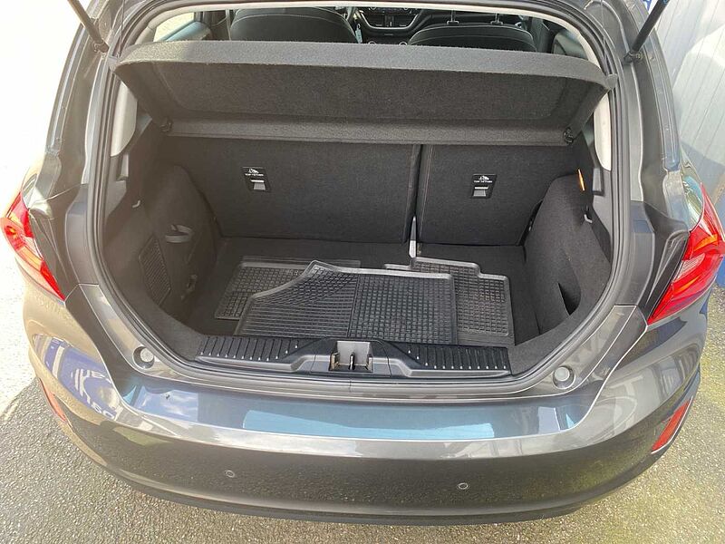 Ford Fiesta Titanium RF-Cam.