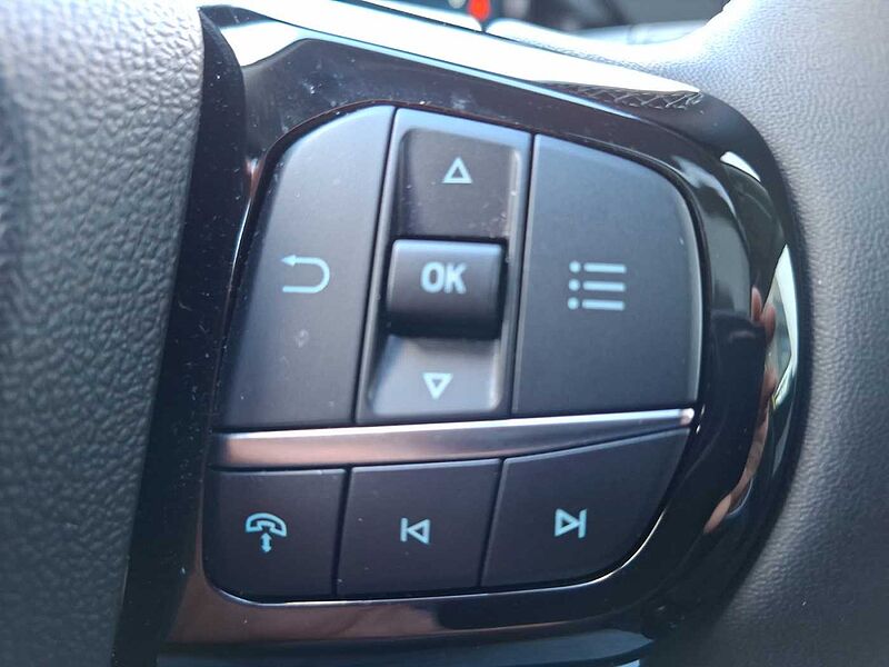 Ford Puma Gen-E Pano Winterpaket