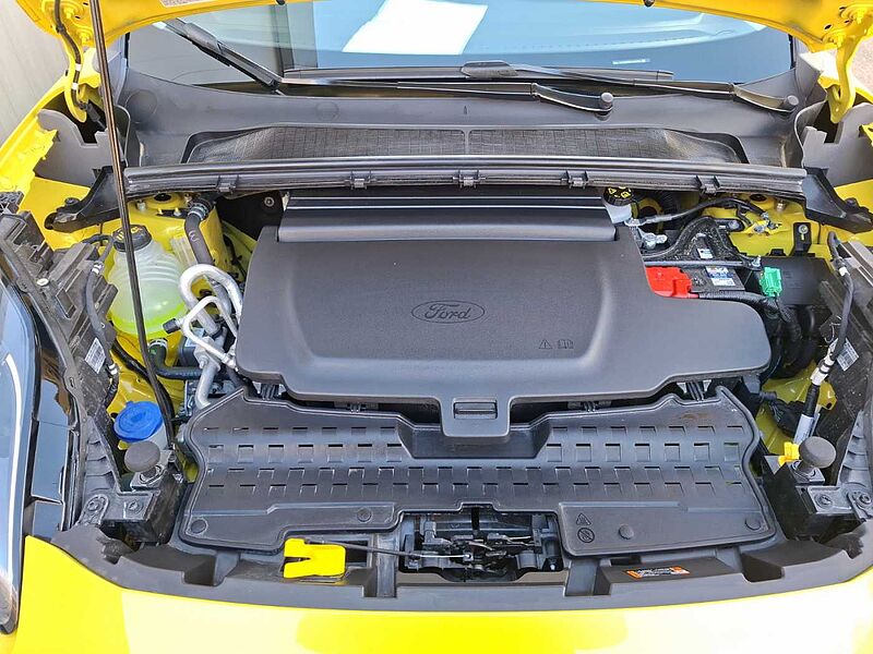 Ford Puma Gen-E Pano Winterpaket